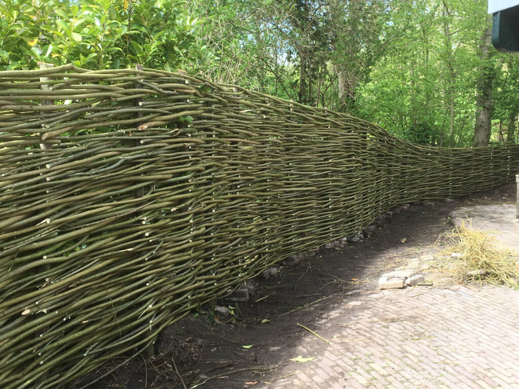 Wilgenschutting over grote lengte