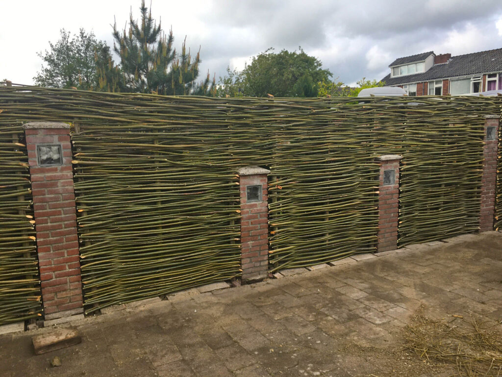 Wilgenschutting om bestaand metselwerk heen gevlochten