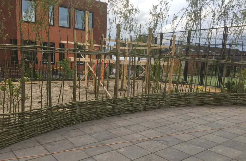 Wilgenschutting als afscheiding op schoolplein