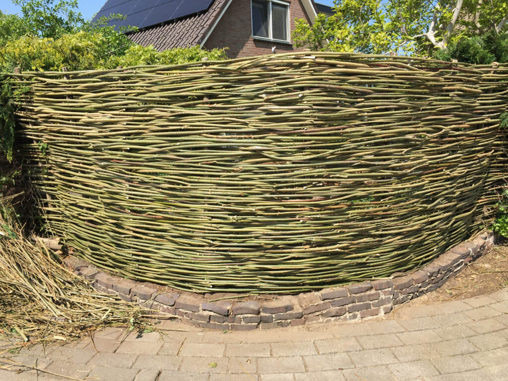 Wilgenschutting met afgeronde hoek