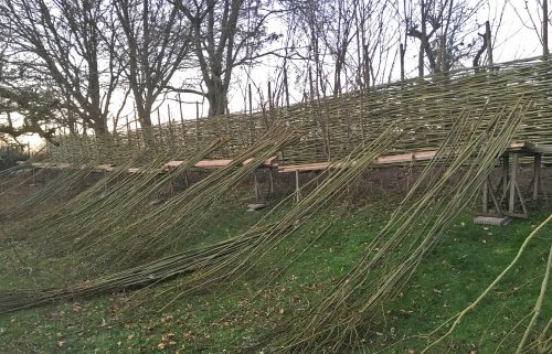 Wilgenschutting wordt geplaatst